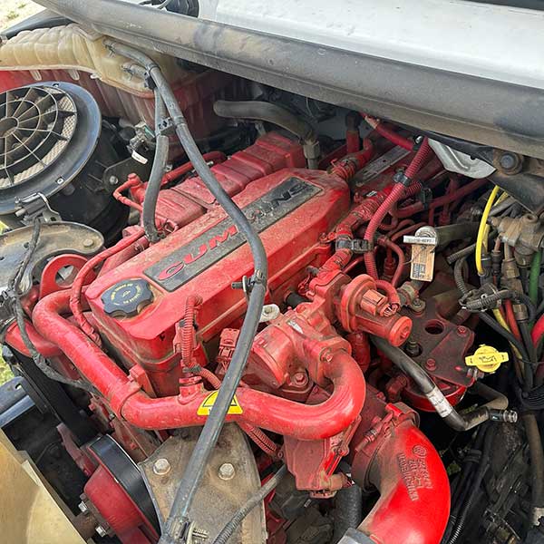 Engine Diagnostics and Repair for roadside mechanical issues